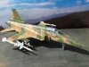 Hasegawa B3 F-20 Tigershark (1:72)